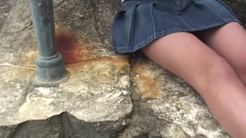 Fancy Idol Vol.10 ラズベリー　山中真由美 山中真由美(やまなかまゆみ)